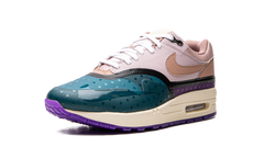 AIR MAX 1 () WMNS"Plum Fog Fossil Rose" DV2301 501