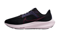 Air Zoom Pegasus 40 Wmns"Black" DV3854 005