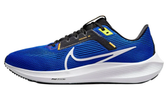 Air Zoom Pegasus 40 "Racer Blue" DV3853 401