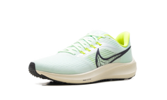 Air Zoom Pegasus 39 "Green" DH4071-301