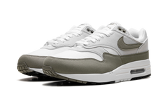 Air Max 1 WMNS"Green" DZ2628 112