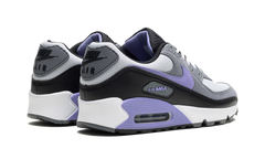 Air Max 90 "Light Thistle" DM0029 014