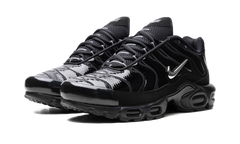 Air Max Plus "Metallic Black" FJ2591 001