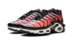 AIR MAX PLUS MNS WMNS"Sisterhood" DO6115 500