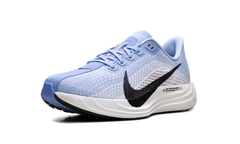 Pegasus Plus WMNS"Aluminum/Black-Royal Pulse" FQ7261 402