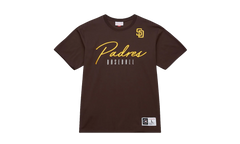 Training Day Premium Short Sleeves Tee "Current Logo - Brown" FC11759 SDPBROW