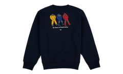 TNF Celebration Relaxed Crewneck Sweatshirt "Summit Navy" NF0A8GAT8K2