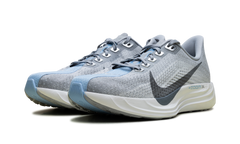 ZoomX Pegasus Plus Wmns"Grey" FQ7261-004