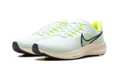 Air Zoom Pegasus 39 "Green" DH4071-301