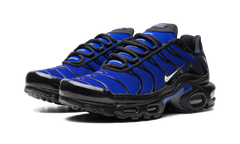 AIR MAX PLUS "Black" FQ7331-001