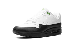 Air Max 1 "Chlorophyll" FZ5160 121