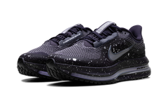 Pegasus Premium SE WMNS"Cave Purple" IH0861 500